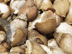 -海口绿发希尔顿酒店-田园汇自助餐·三文鱼·海鲜