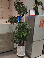 -LJOY丽锦造型·烫发染发