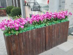 -龙湖星悦荟(颐和店)