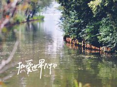 -溱湖国家湿地公园