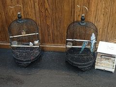 -老北京炸酱面大王.铜锅涮肉(朝阳门店)