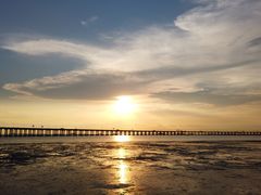 -宝安西湾红树林湿地公园