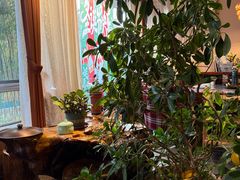 -慢丽江·云南野生菌土鸡锅(付家庄店)