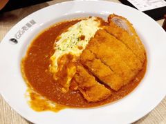 -CoCo壱番屋