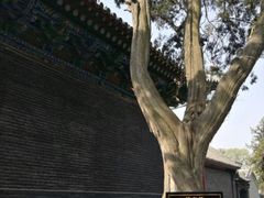 -关林