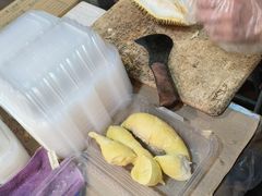 -油麻地果栏