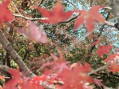-北山街历史文化街区