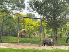 -北京野生动物园
