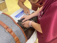 -芭比堂动物医院·犬猫全科·异宠专科(雁塔分院)