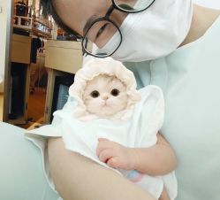 -baby bella小贝拉母婴护理中心(北京东隅店)