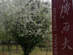-广西大学(大学东路校区)