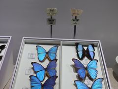 -烟台市博物馆
