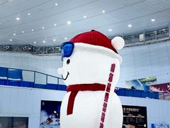 -哈尔滨热雪奇迹