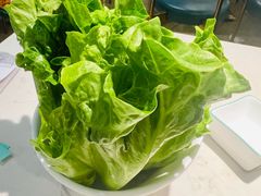 -VT101维多利广场