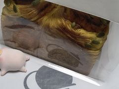 -仟吉KenGee(国贸360店)