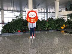 -石家庄正定国际机场-T2航站楼