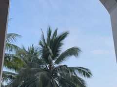 -三亚海棠湾喜来登度假酒店