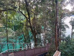-广州市流溪河国家森林公园