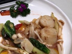 -蝶园·装修中(BFC外滩金融中心店)