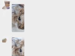 -爱诺耐芙动物医院(万博店)