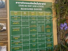 -清迈夜间动物园