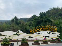 -西双版纳原始森林公园