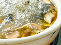 -蘑统田下·野生菌火锅