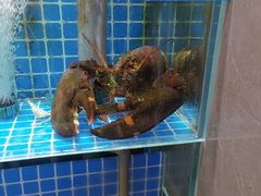 -锦顺海鲜•口味菜(李村店)