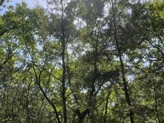 -武侯墓风景区