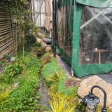 结果被街边的一家小店吸引了#小荷园乡野湖北菜