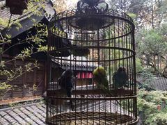 -鱼桥巷·美学川菜