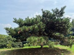 -同里国家湿地公园