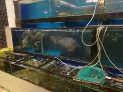 -海宝酒家(中山四路店)