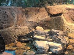 -多彩贵州城极地海洋世界