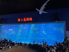 -福州罗源湾海洋世界旅游区