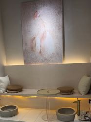 -韩芙莱芳疗spa健康管理