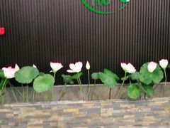 -君之悦·影院式足道·养生SPA(回兴店)