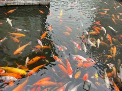 -西江印象酒楼