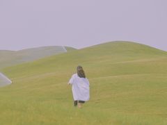-荷兰花海