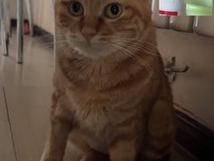 -瑞派福兴宠物医院犬猫全科·骨科·中西医结合(河东店)