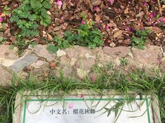 -人民公园(罗湖区)