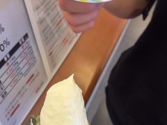 -野人先生Gelato(上海长宁龙之梦店)