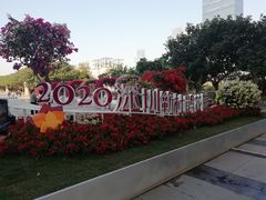 -莲花山公园