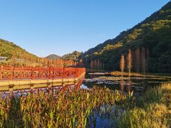 -广州市石门国家森林公园