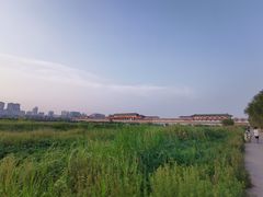 -咸阳湖景区-古渡公园