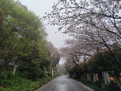 -小蓬莱餐厅