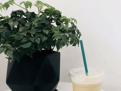 柑橘拿铁-Bamboo Today Cafe(国创园店)