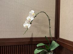 -珍呈中餐厅•粤川淮扬新疆(乌鲁木齐康莱德酒店)