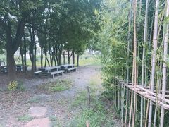 -田园东方蜜桃村的田野营地