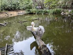 -济南野生动物世界